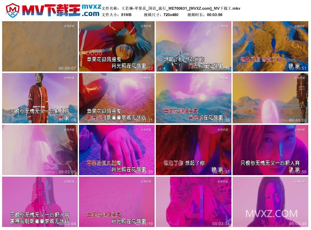 王若琳-苹果花_国语_流行_ME700631